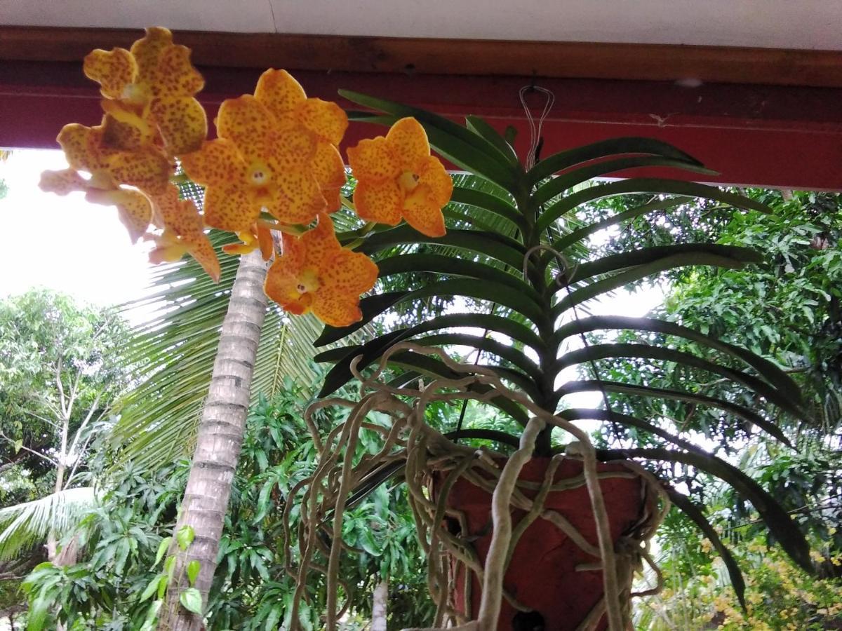 Yaluwa Tourist Rest Hotel Holambra Exterior foto