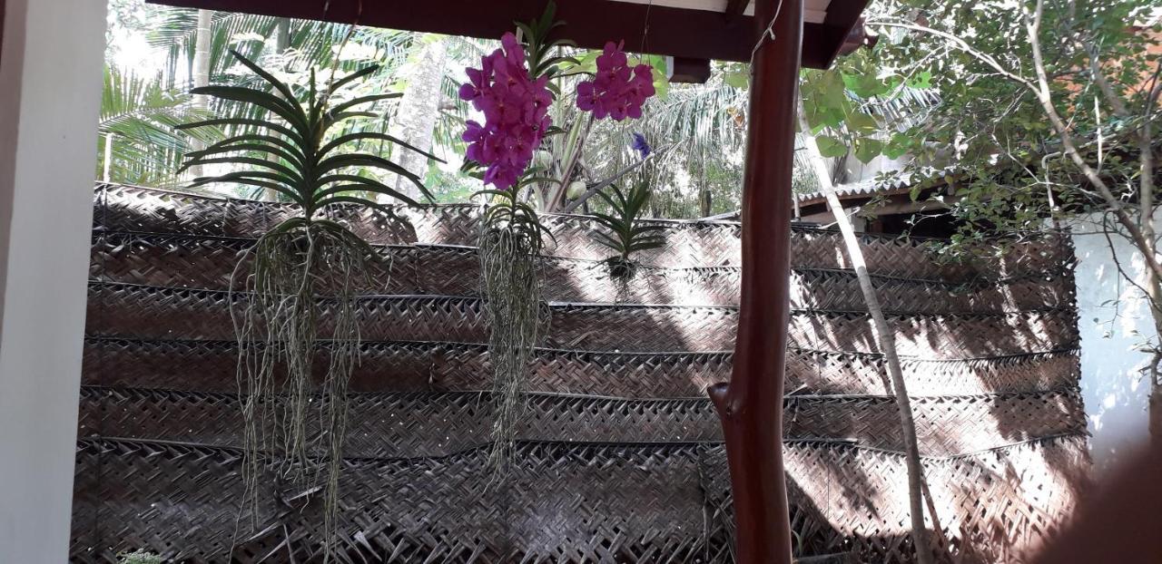 Yaluwa Tourist Rest Hotel Holambra Exterior foto